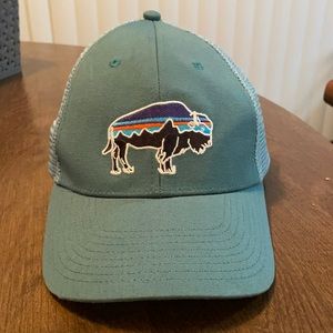 Patagonia Fitz Roy Bison mesh trucker hat in EUC